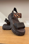 MELISSA - PULSE BROWN