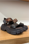 MELISSA - PULSE BROWN